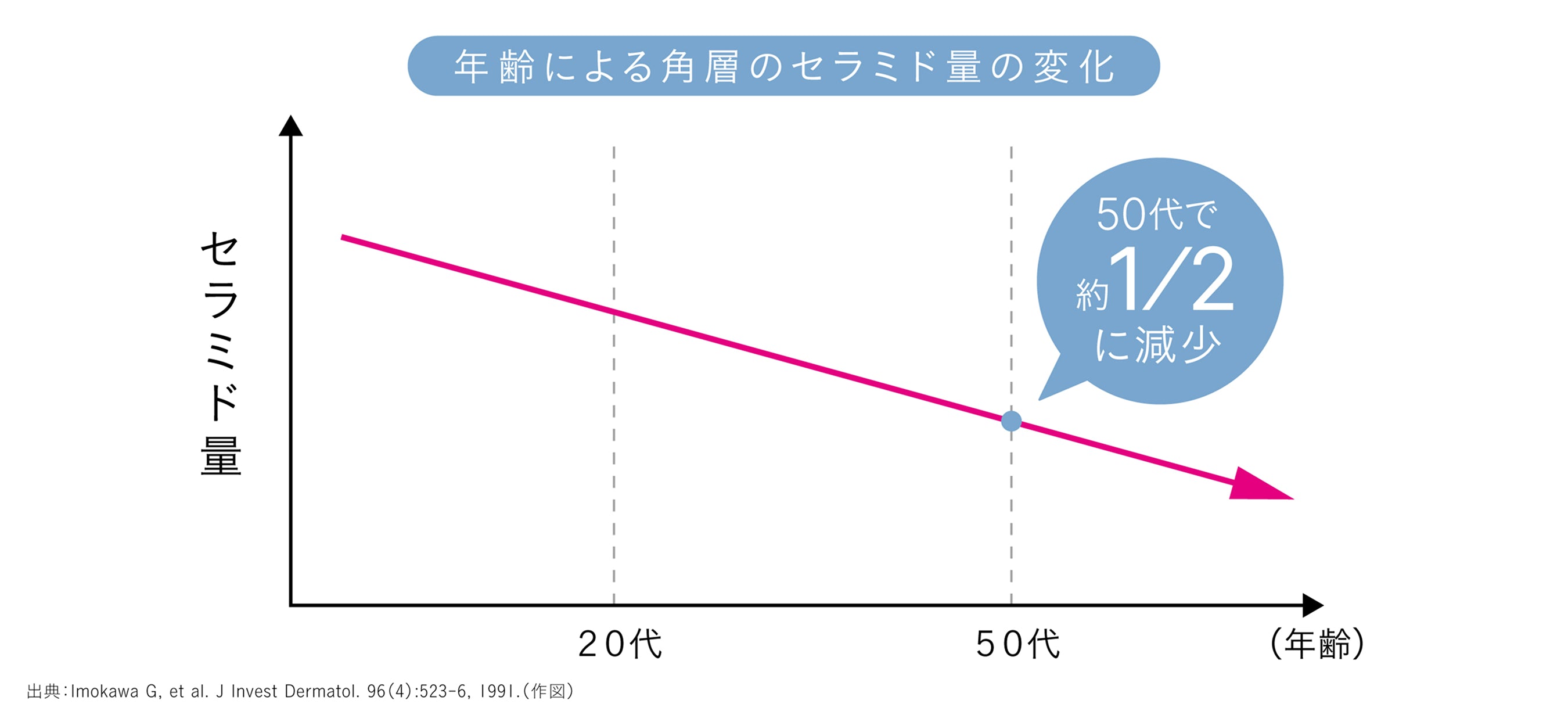 セラミドの量は、50代では20代の約1/2に
