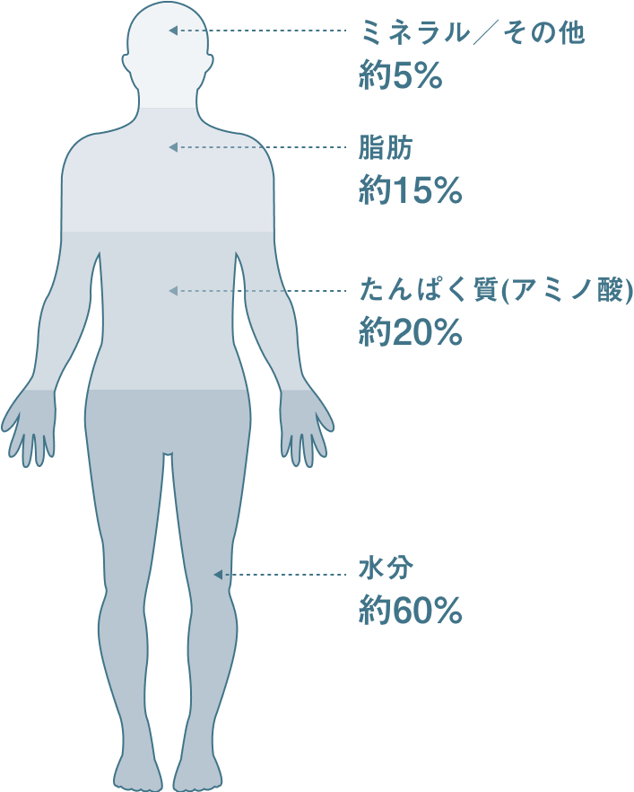 【公式】2Protein (トゥープロテイン）｜次世代型プロテイン – 2foods